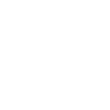 icons8-new-product-100